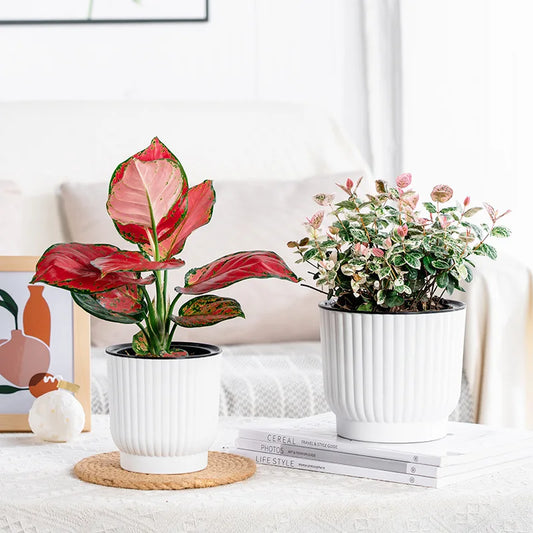 Lazy Hydroponic Flower Pot
