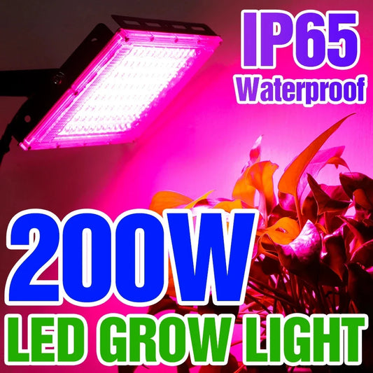 220V LED Grow Light