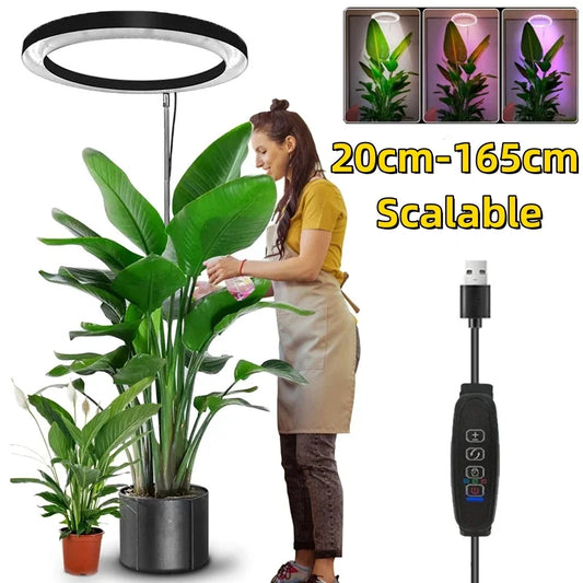 165cm Height Adjustable LED Ring Grow Light