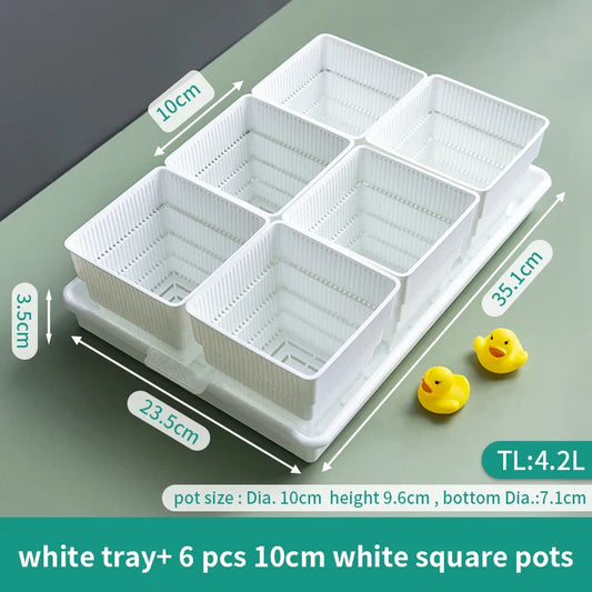 Meshpot Square Succulent Planters with Tray