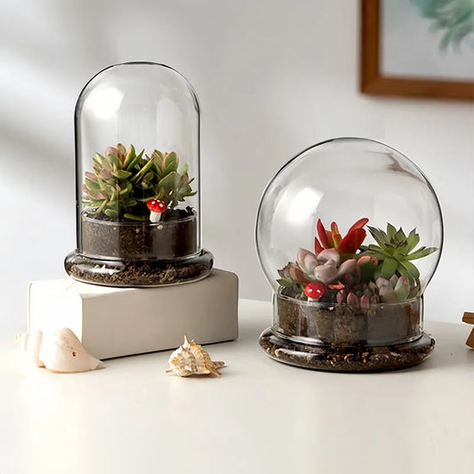 Clear Glass Dome with Air Vent