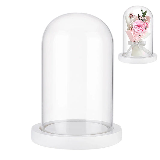 Glass Dome Cover with White Wood Base