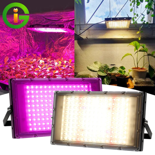 Full Spectrum LED Grow Light 50W/100W