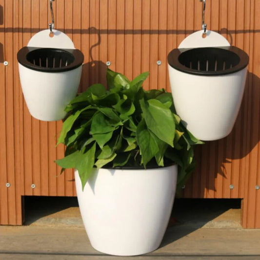 Wall Hanging Self-Watering Flower Pot