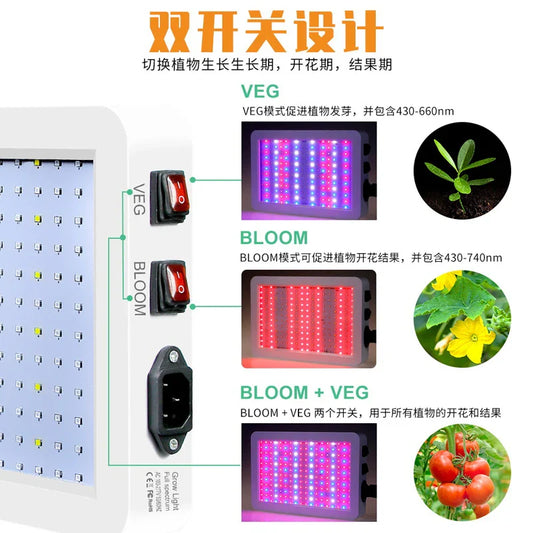 5000W Quantum Board LED Grow Light