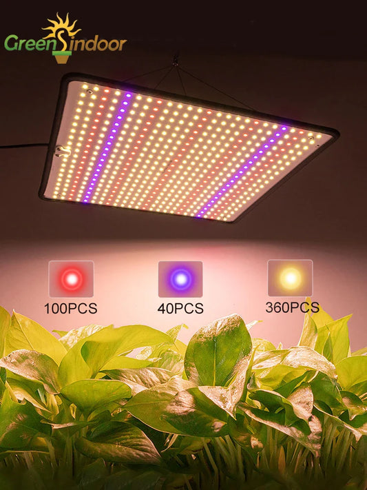 Greensindoor 1200W Grow Light