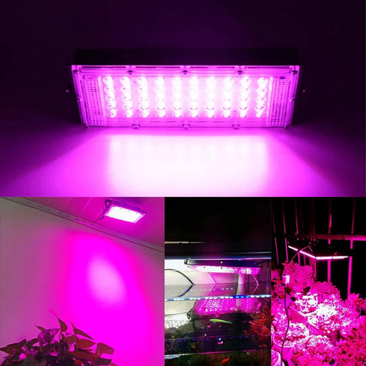 Pink Full Spectrum Phyto LED Grow Light
