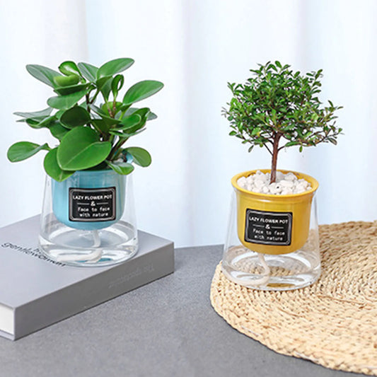 Lazy Hydroponic Flower Pot