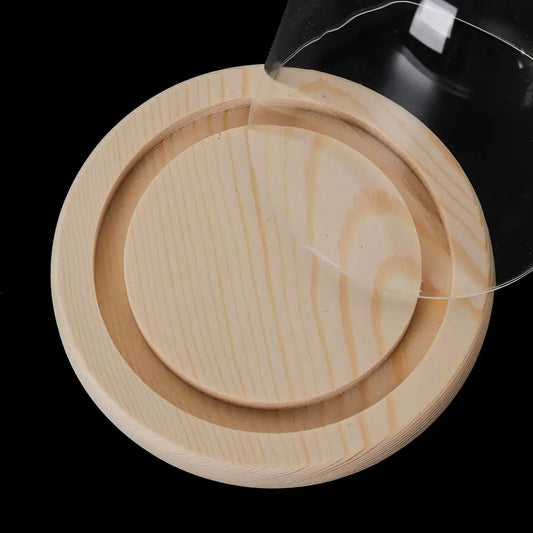 Micro Landscape Moss Glass Bottles