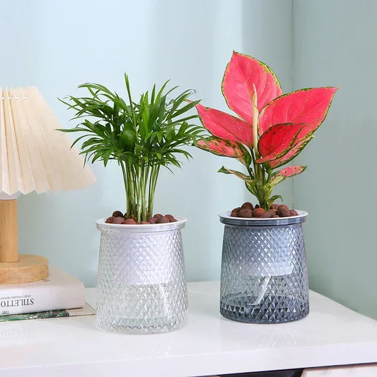 Self-Watering Plant Pots