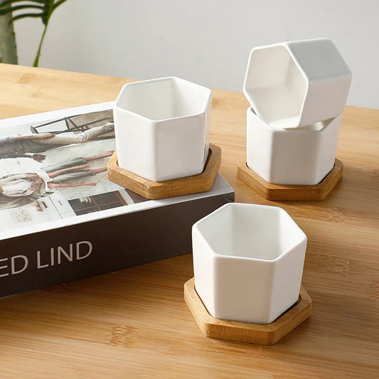 White Hexagon Ceramic Planter with Tray